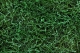 Cartaluce sizzle pak forest green 473